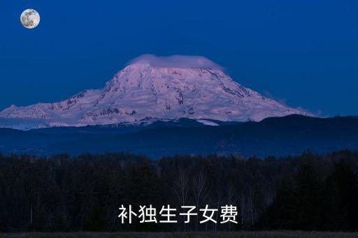 補(bǔ)獨(dú)生子女費(fèi)