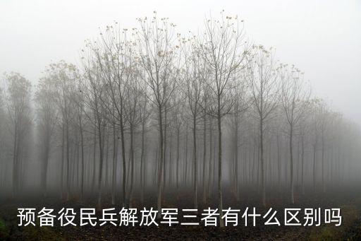 預(yù)備役民兵解放軍三者有什么區(qū)別嗎