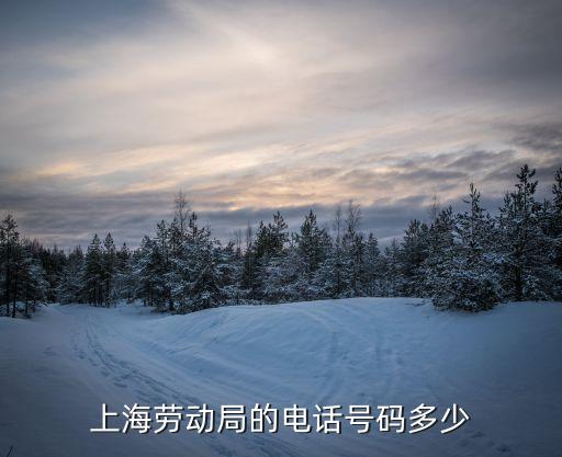 上海勞動(dòng)保障局，上海市勞動(dòng)保障局電話多少