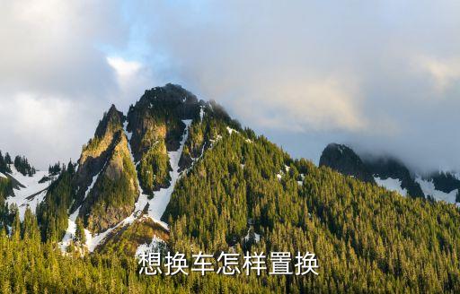 置換車，不同品牌車可以置換嗎