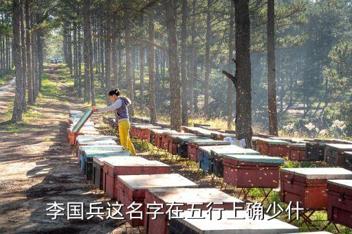 李國(guó)兵，免費(fèi)姓名配對(duì)測(cè)試網(wǎng)頁
