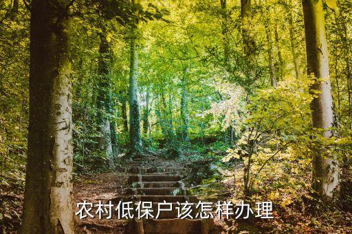 農(nóng)村低保戶該怎樣辦理
