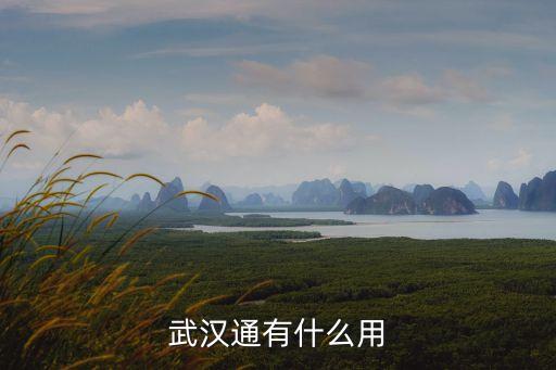 武漢通，武漢通在哪里辦