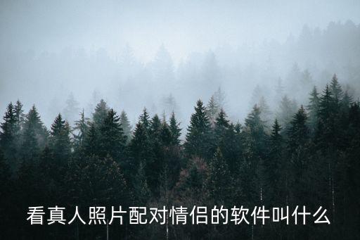 看真人照片配對情侶的軟件叫什么