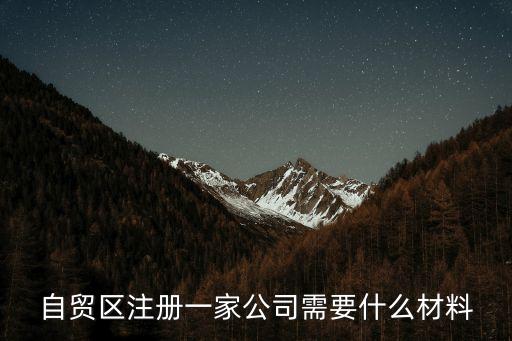 自貿區(qū)注冊一家公司需要什么材料