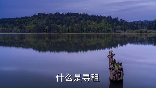 什么是尋租