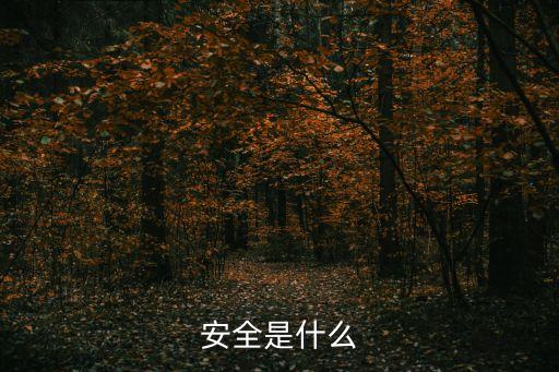 安全是什么