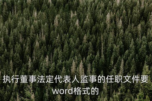 執(zhí)行董事法定代表人監(jiān)事的任職文件要word格式的