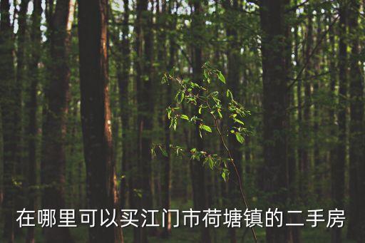 江門(mén)市二手房，在哪里可以買(mǎi)江門(mén)市荷塘鎮(zhèn)的二手房
