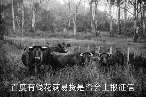 百度有錢花滿易貸是否會上報征信