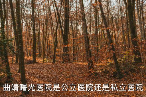 民營醫(yī)院是私立醫(yī)院嗎，民營二級(jí)醫(yī)院屬于公立二級(jí)醫(yī)院嗎