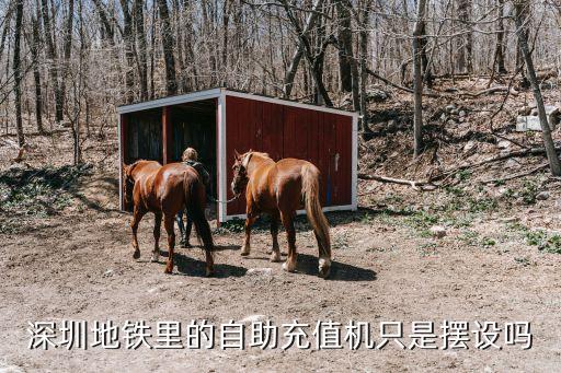 深圳地鐵里的自助充值機(jī)只是擺設(shè)嗎