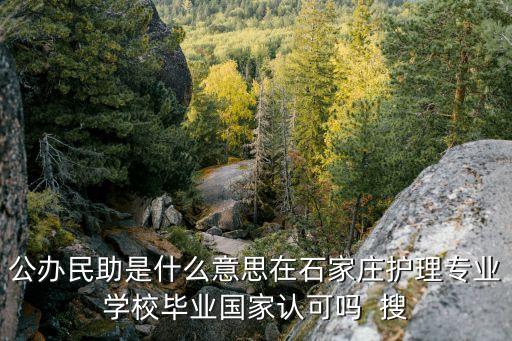 公辦民助，大學(xué)公辦民助啥意思啊