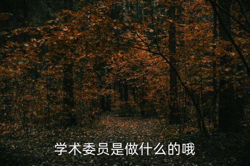 學(xué)術(shù)委員會(huì)，學(xué)術(shù)委員是做什么的哦
