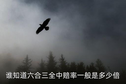 三肖賠多少倍，誰知道六合三全中賠率一般是多少倍