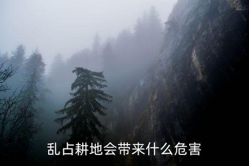 亂占耕地，請(qǐng)問(wèn)耕地亂占可以嗎