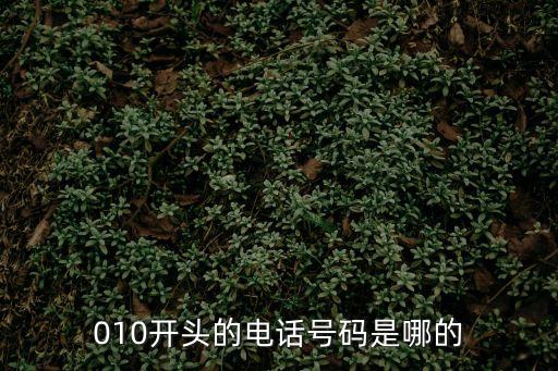 010開頭的電話號碼是哪的