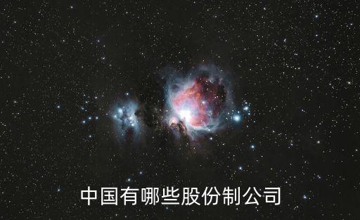 中國(guó)有哪些股份制公司