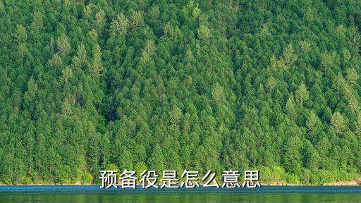 預備役是怎么意思