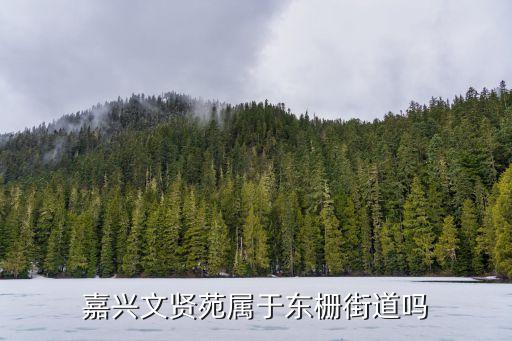 東柵街道，嘉興市南湖區(qū)審批中心是屬于哪個(gè)街道