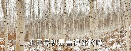 王平最初是曹操部將嗎