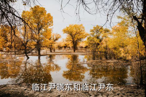 臨江尹曉東和臨江尹東