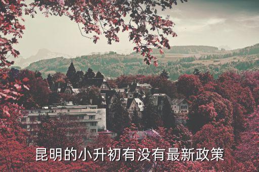 小升初政策，小升初的政策誰知道