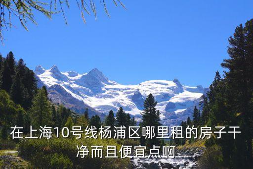 楊浦租房，在上海10號(hào)線楊浦區(qū)哪里租的房子干凈而且便宜點(diǎn)啊