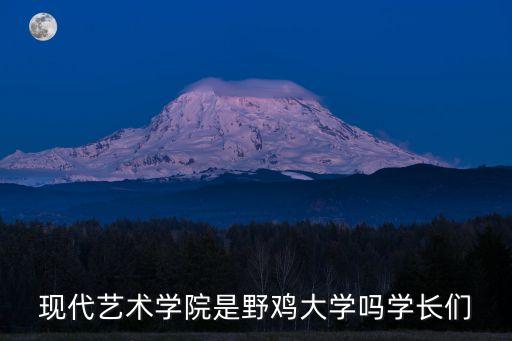 現(xiàn)代藝術(shù)學(xué)院是野雞大學(xué)嗎學(xué)長們