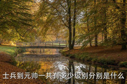 當(dāng)兵等級(jí)，軍人的軍銜