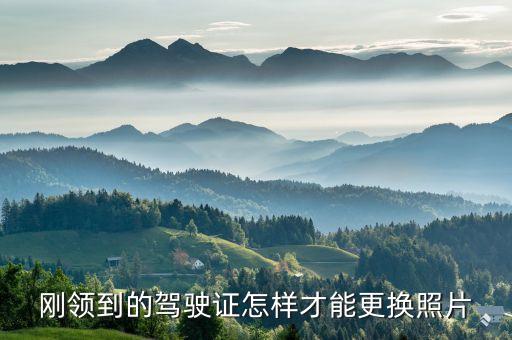 駕駛證換照片，駕駛證怎么換相片