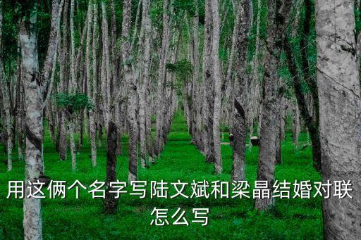 梁晶，梁晶這個名字能打幾分