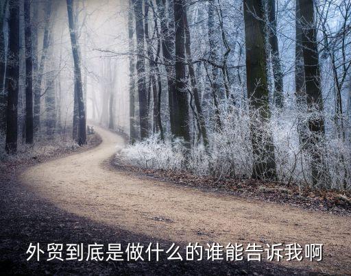 外貿(mào)是什么意思，外貿(mào)指的是那些