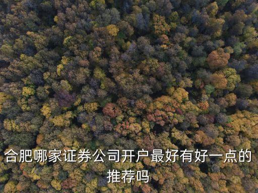 合肥哪家證券公司開戶最好有好一點(diǎn)的推薦嗎