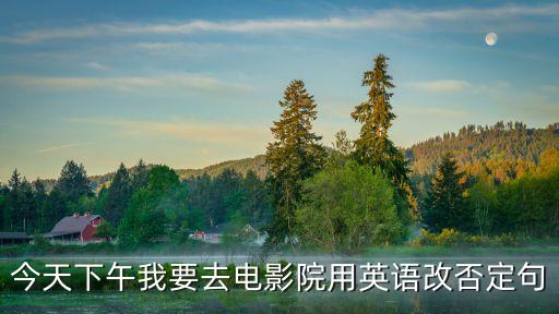 今天下午我要去電影院用英語改否定句