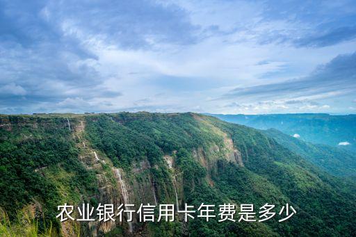 農(nóng)行信用卡年費(fèi)，農(nóng)行信用卡年費(fèi)怎么收取
