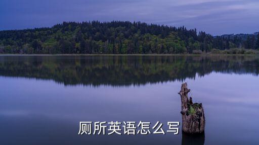 廁所英語怎么寫