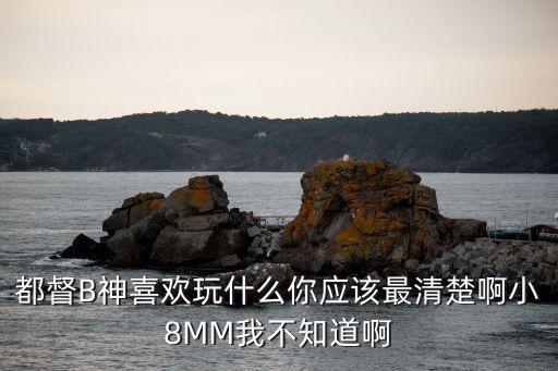 都督B神喜歡玩什么你應(yīng)該最清楚啊小8MM我不知道啊