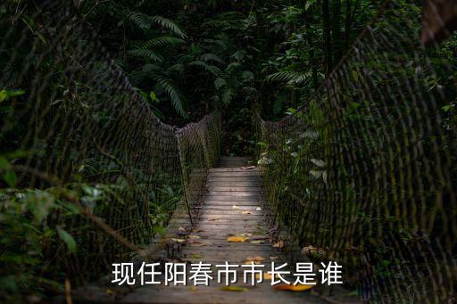現(xiàn)任陽春市市長是誰