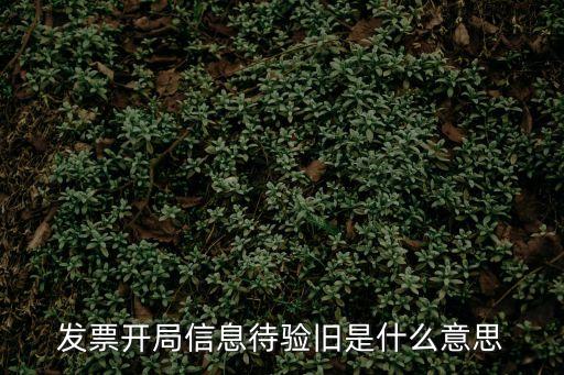 發(fā)票驗(yàn)舊什么意思，發(fā)票驗(yàn)舊是怎么回事呀