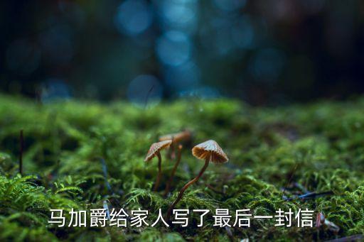 馬加爵遺書(shū)，請(qǐng)從思想道德和法律等方面談馬加爵遺書(shū)