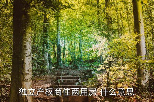 獨(dú)立產(chǎn)權(quán)商住兩用房 什么意思