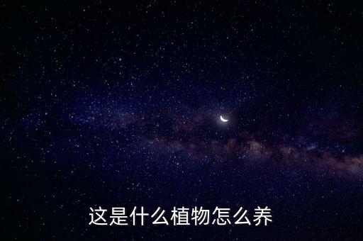 這是什么植物怎么養(yǎng)