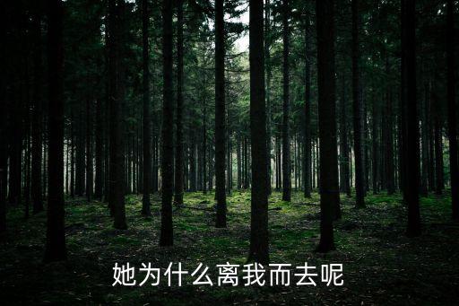 她為什么離我而去呢