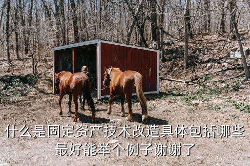 什么是固定資產(chǎn)技術(shù)改造具體包括哪些最好能舉個(gè)例子謝謝了