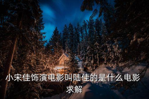 小宋佳飾演電影叫陸佳的是什么電影 求解