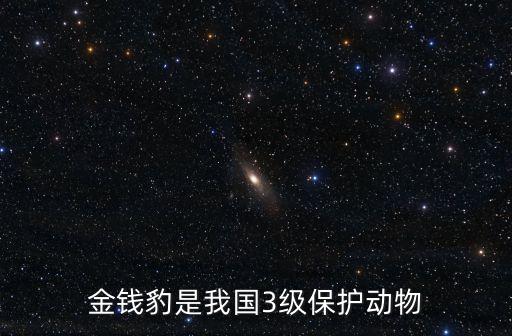 國家三級保護(hù)動(dòng)物，大千世界無奇不有一級保護(hù)動(dòng)物有哪些二級保護(hù)動(dòng)物有哪些