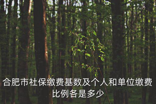合肥市社保繳費(fèi)基數(shù)及個(gè)人和單位繳費(fèi)比例各是多少
