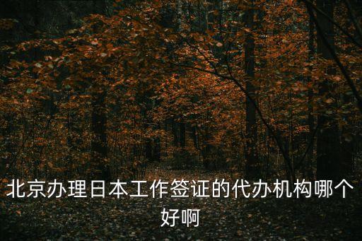 北京辦理日本工作簽證的代辦機(jī)構(gòu)哪個好啊