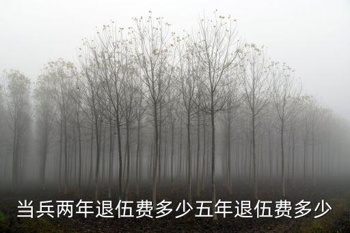 兩年兵退伍能給10萬(wàn)嗎，當(dāng)兩年兵退伍后能拿多少錢